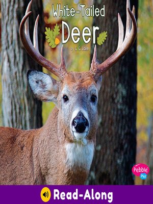 cover image of White-Tailed Deer